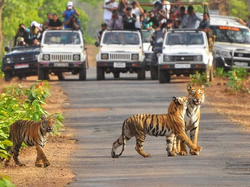 written by Cicero in 45 BC